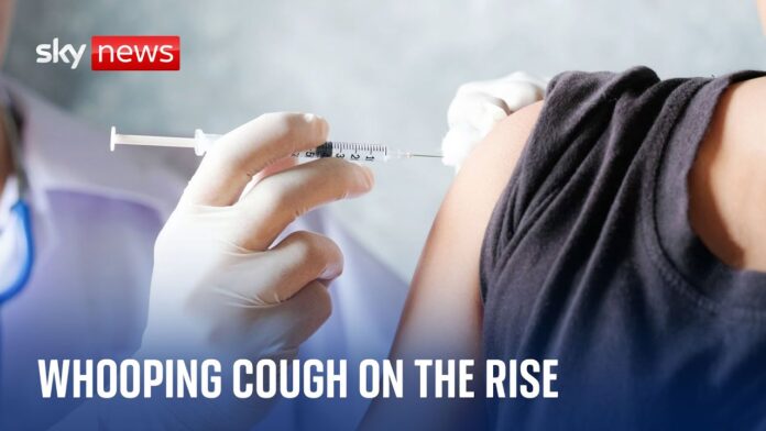 Whooping cough outbreak: Five infant deaths