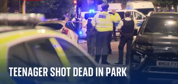 15-Year-Old Shot Dead in Ladbroke Grove Park; Six Arrested