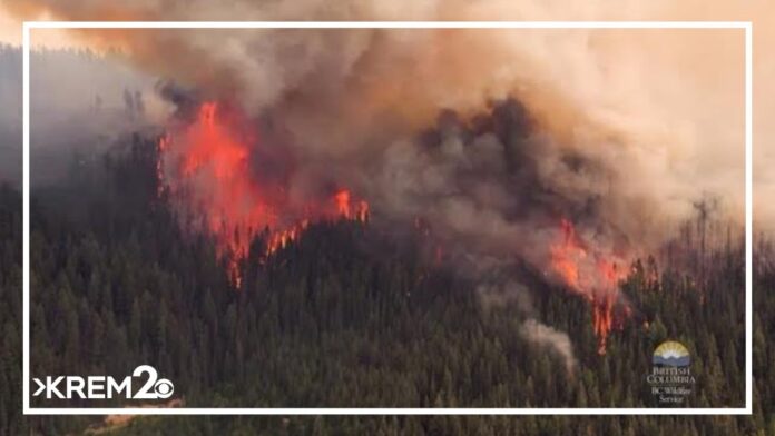 Fast-Moving Wildfire Devastates Jasper, Alberta’s Largest National Park