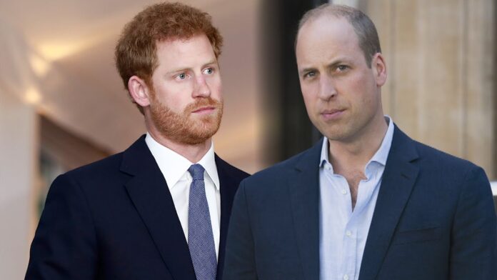 Royal Expert Calls for Apology Between Prince William and Harry