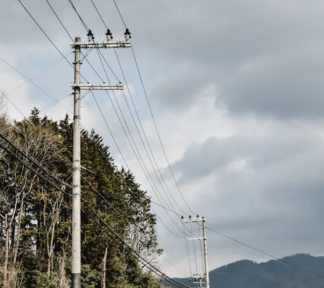 Bengaluru Woman Dies After Live Power Wire Falls