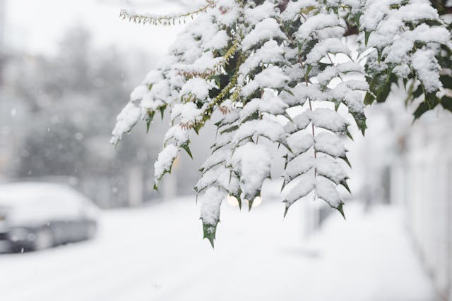 UK Freezes with Coldest January Night in 15 Years