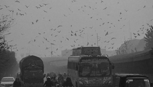 Lahore Reaches Unprecedented Air Quality Index of 707