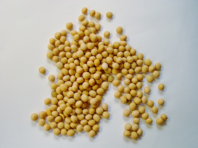 Study Reveals Soy's Role in Enhancing Children's Cognitive Abilities